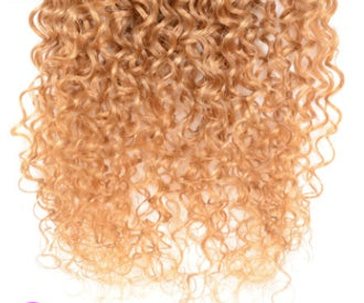 Garon Extension Gradient Wig