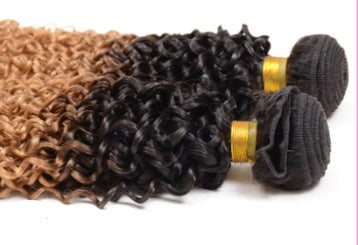 Garon Extension Gradient Wig