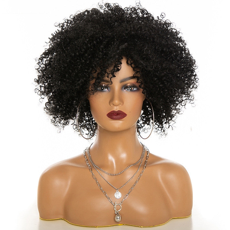 Kinky Curly Hair Wig