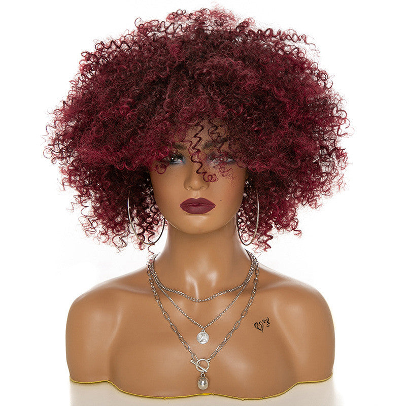Kinky Curly Hair Wig