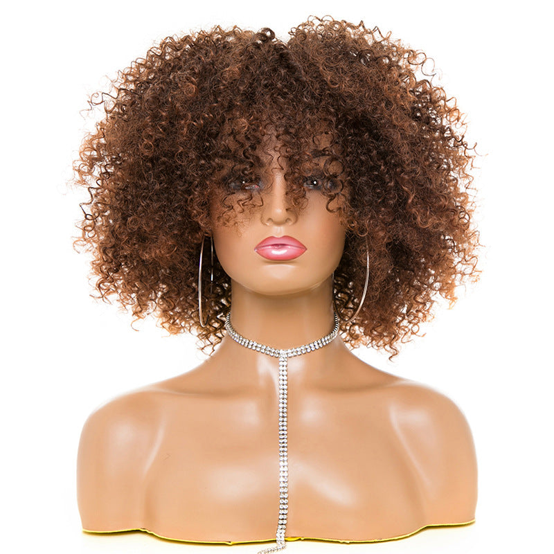 Kinky Curly Hair Wig